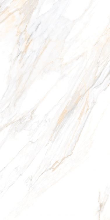 Aurum Calacatta Polished 24 x 48